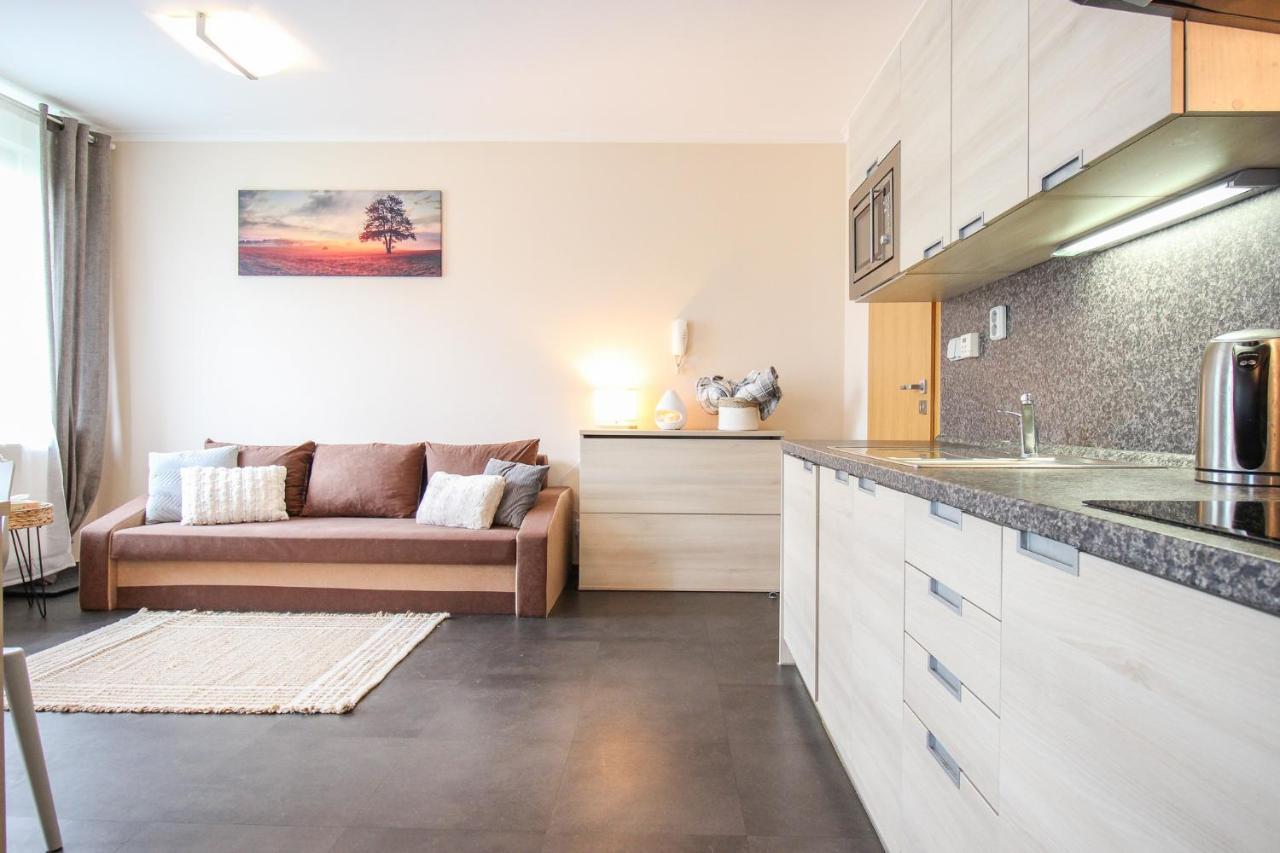 S Rodinou Do Krkonos Apartment Харачов Екстериор снимка